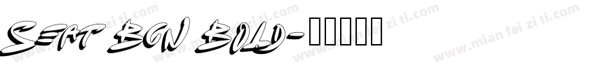 Seat Bcn Bold字体转换